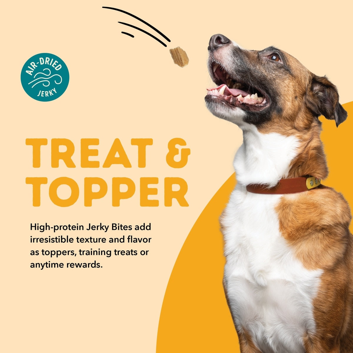 ACANA Jerky Bites Chicken Flavor Grain-Free High-Protein Jerky Dog Treats