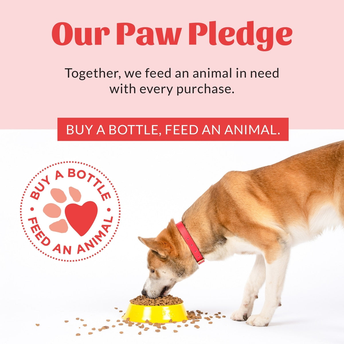 Skout's Honor Super Sour Anti Chew Dog & Cat Spray