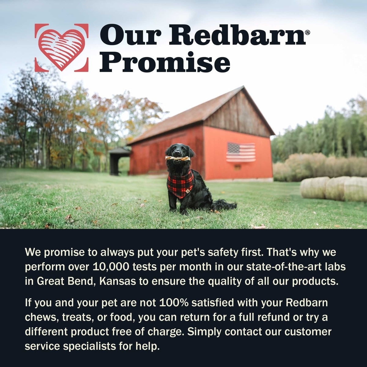 Redbarn Dur-A-Bulls Sticks Hickory Flavor Dog Chew Treats, Medium