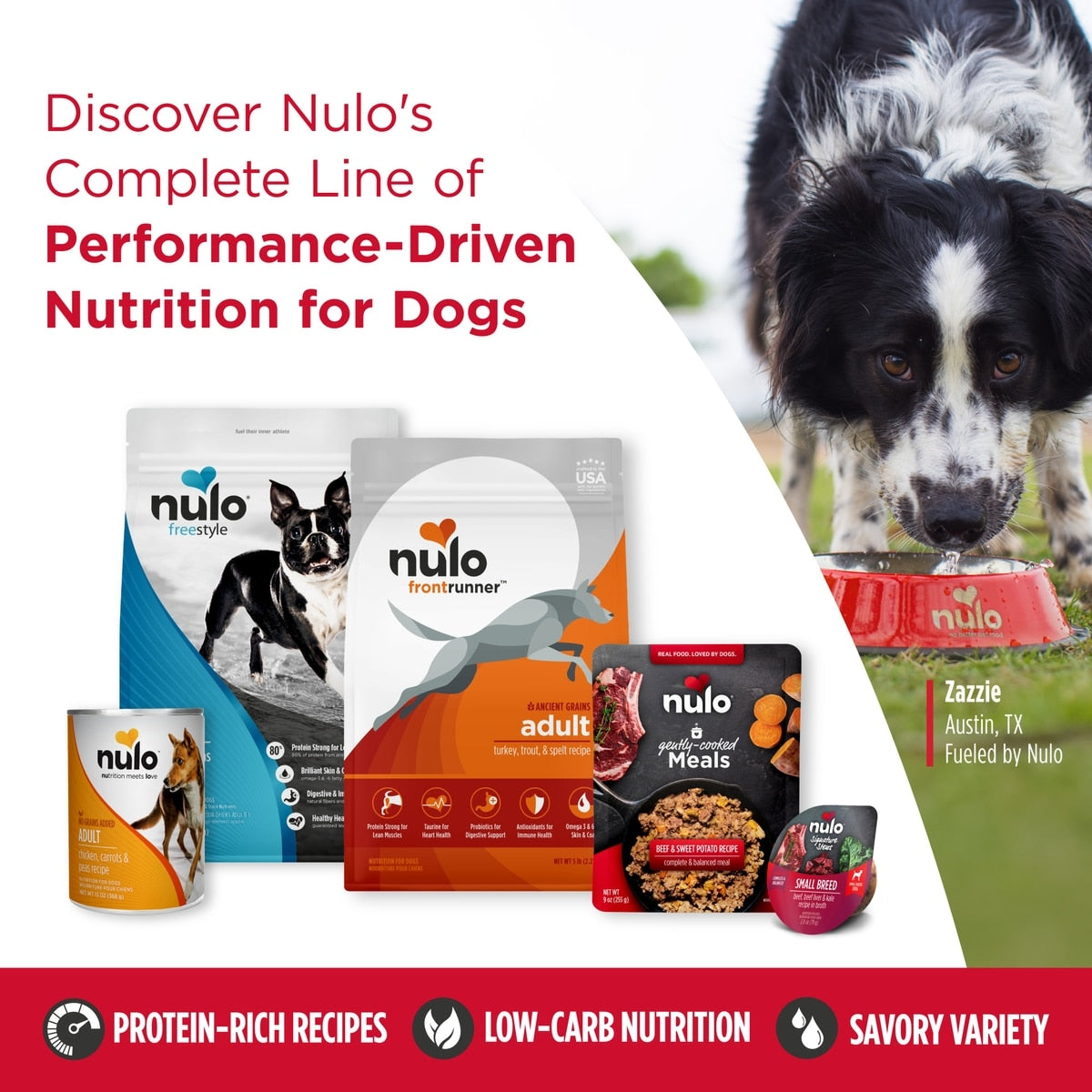 Nulo Signature Stews Grain-Free Lamb & Pumpkin in Broth Small Breed Wet Dog Food