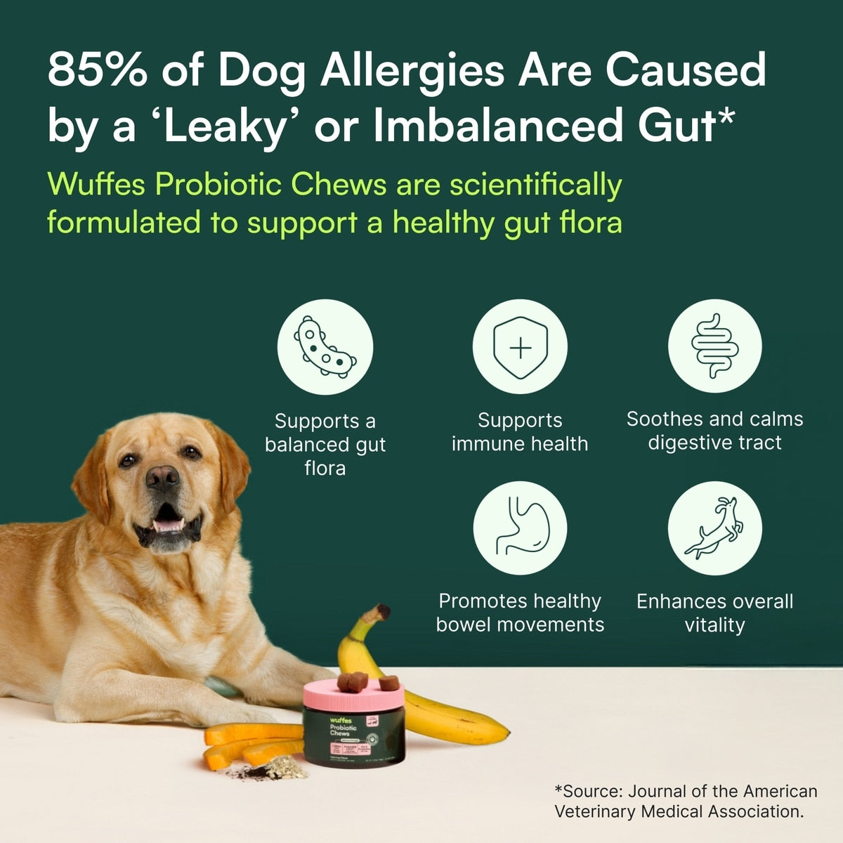 Wuffes Digestive Probiotics Gut Support with Digestive Enzymes Pork Liver Flavored Soft Chew Supplement for Dogs