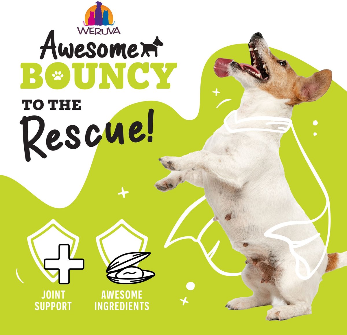 Weruva Awesome Bouncy Recipe Adult Gluten-Free Shredded Canned Wet Dog Food
