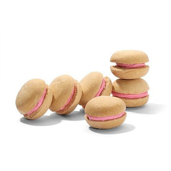 Macaroon - Claudia's Canine Bakery