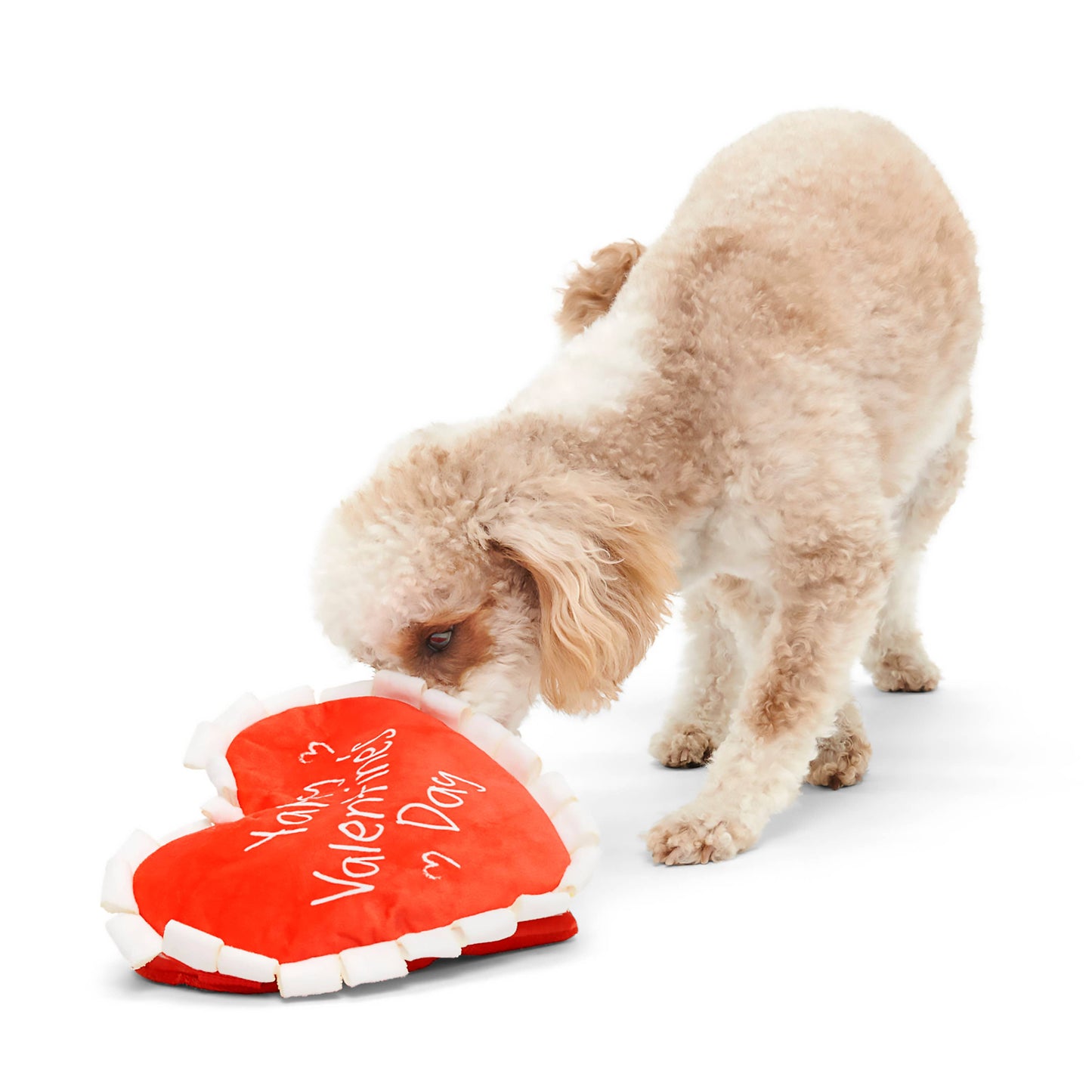 BARK Valentine's Be Mine Growlentine Plush Dog Toy, M/L