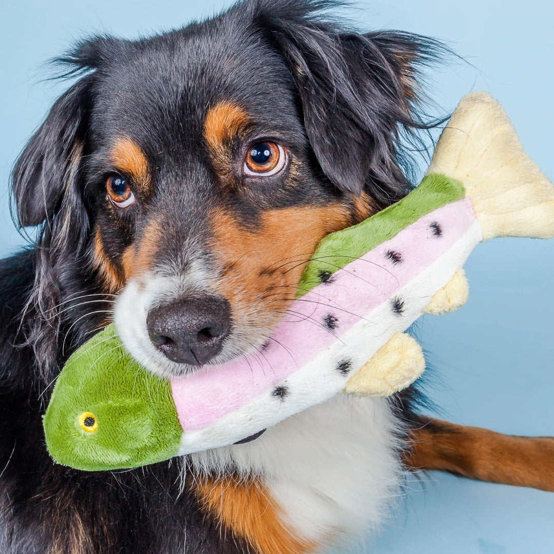 Fluff & Tuff "Burt" Lake Trout Plush Dog Toy