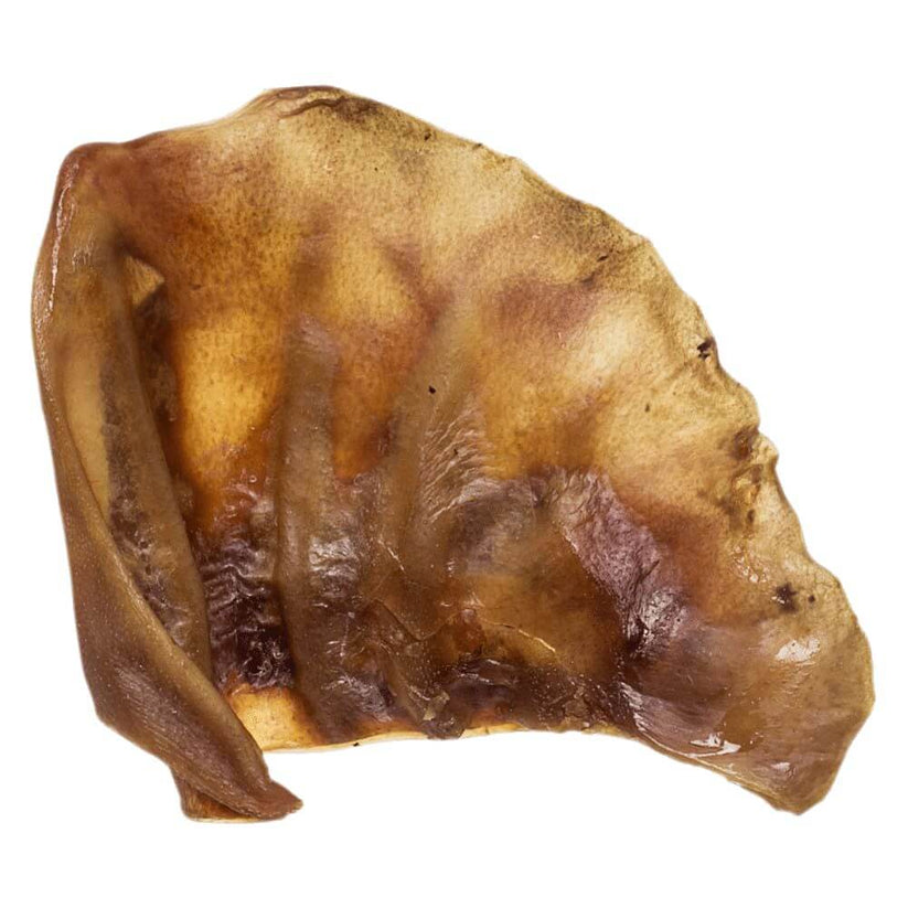 Redbarn Pig Ear Treat