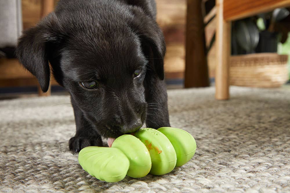 BARK Dog Drop the Bass Toy