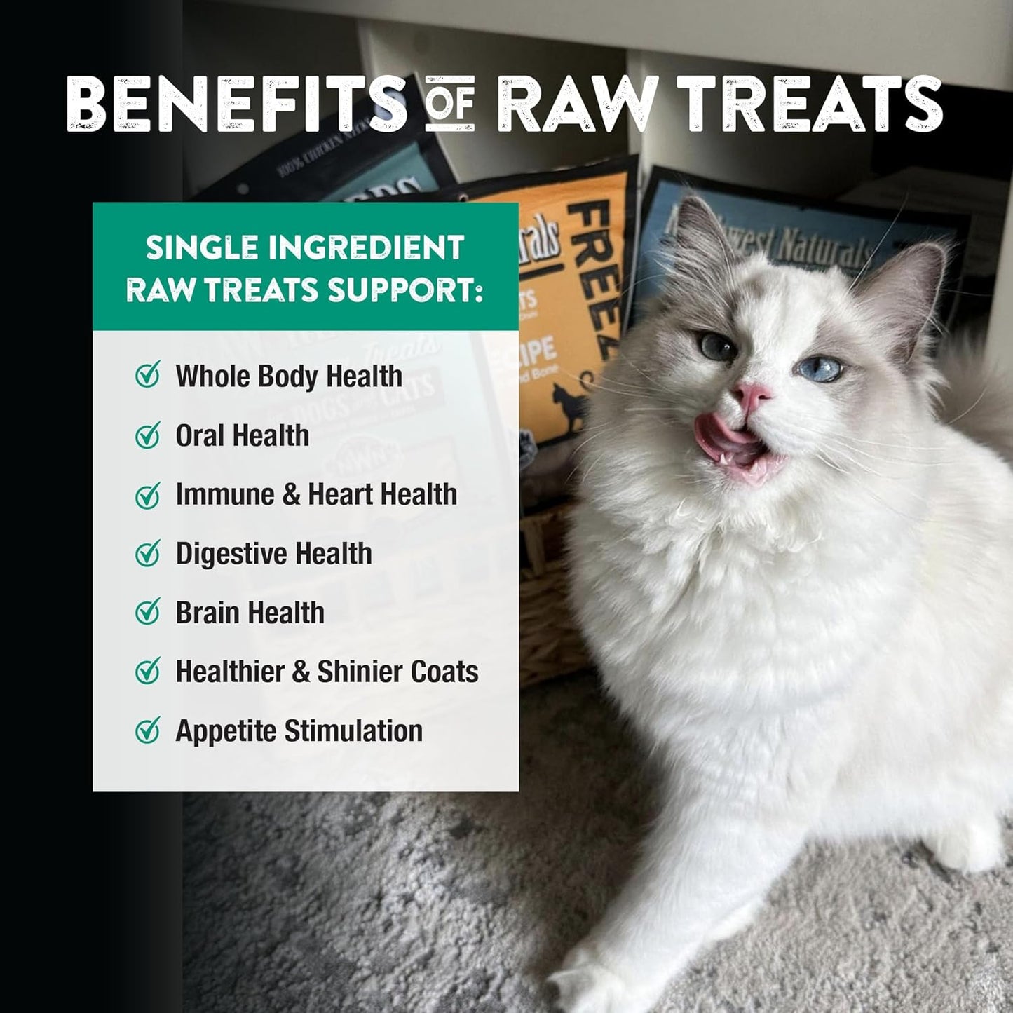Northwest Naturals Raw Rewards Freeze Dried Beef Heart Treats for Dogs and Cats