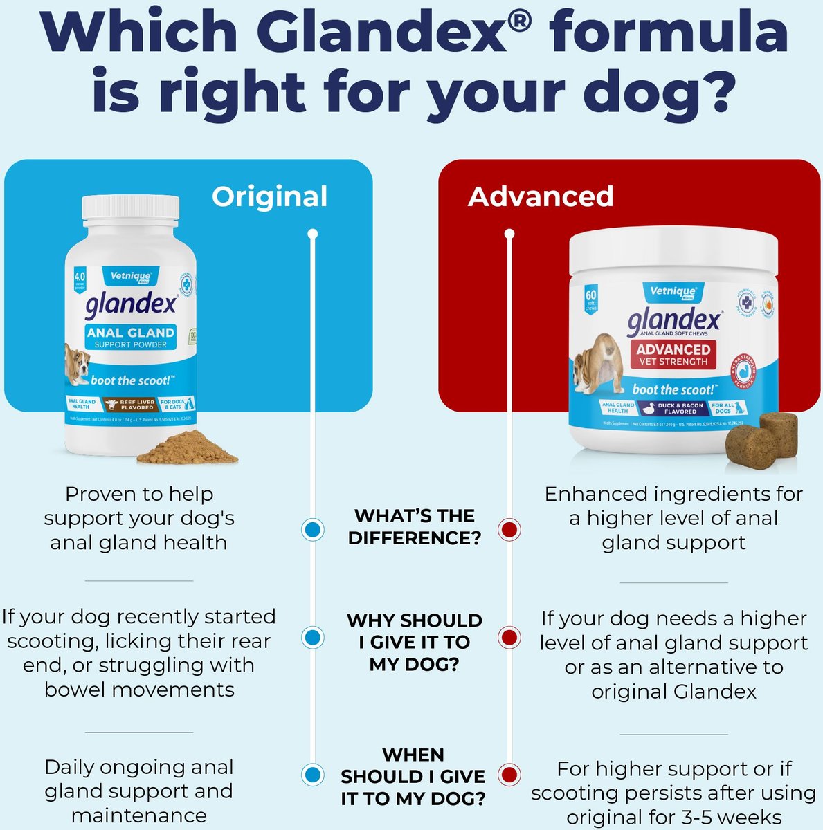 Vetnique Glandex Beef Liver Flavored Pumpkin Fiber Powder Supplement for Dogs and Cats