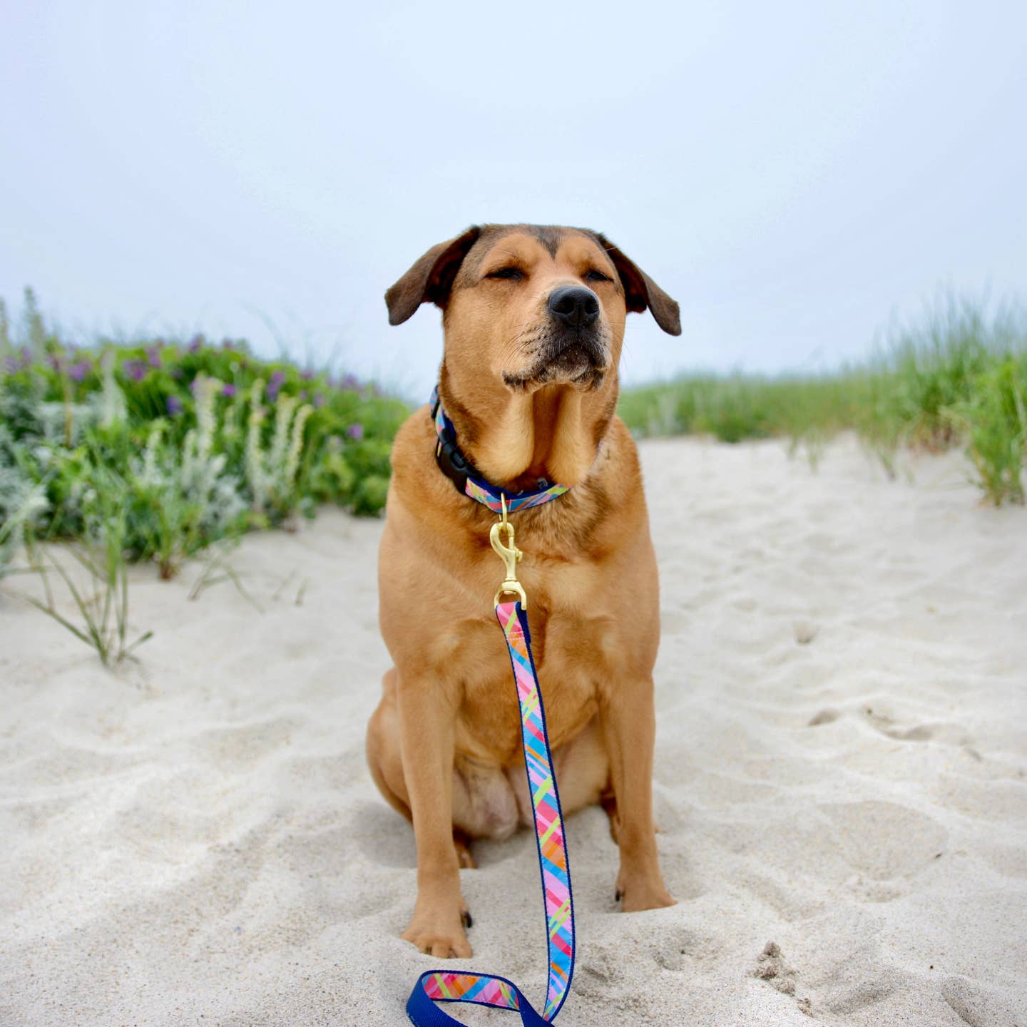 Up Country Pink Madras Dog Lead