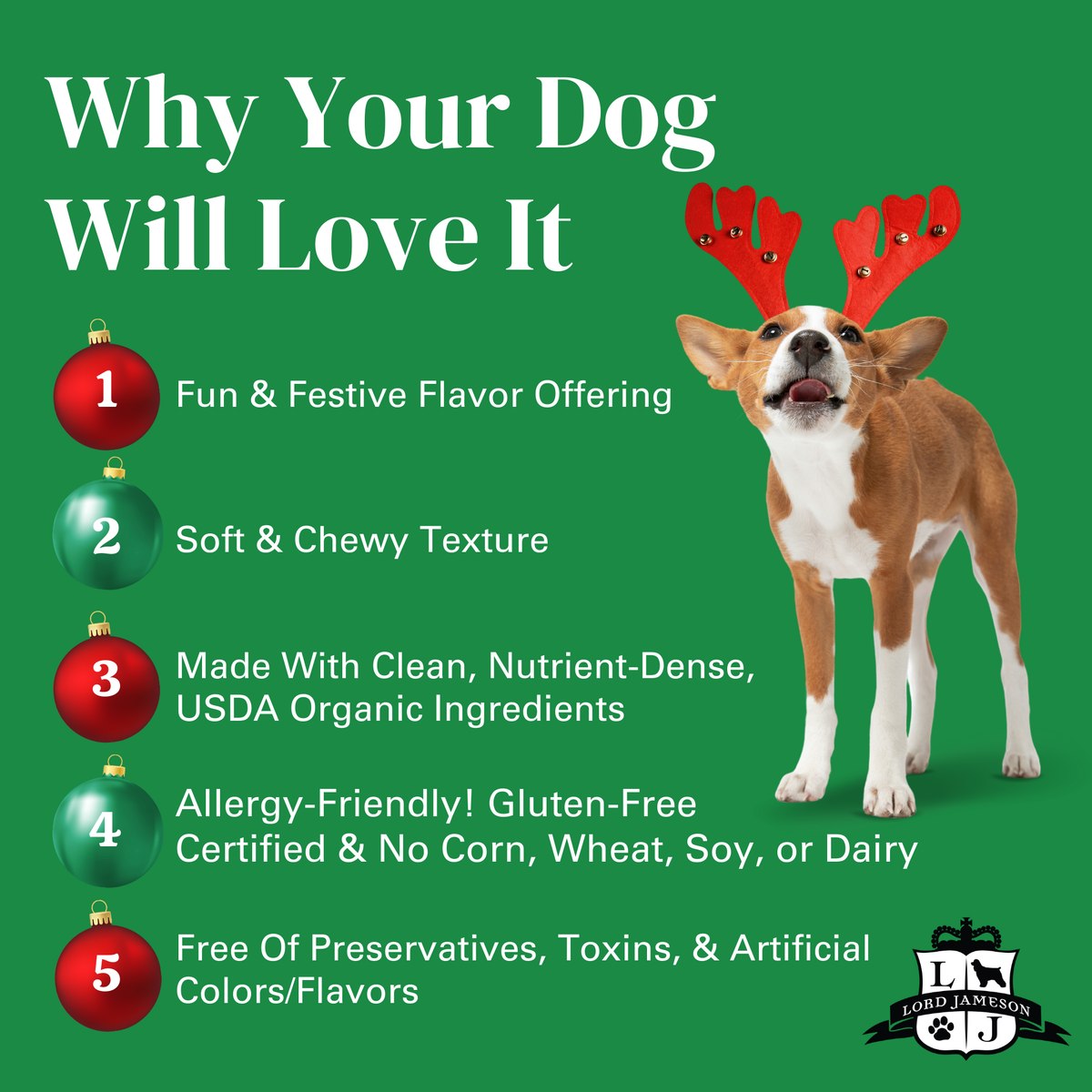 Lord Jameson Christmas Cobbler Organic Soft & Chewy Dog Treats 6oz