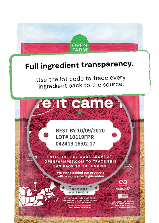 Open Farm Ancient Grains Wild-Caught Salmon Dry Dog Food