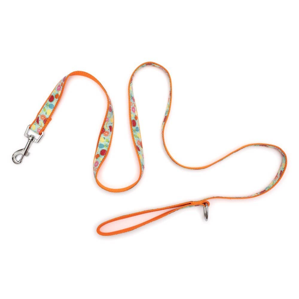 Worthy Dog - Tutti Frutti Lead