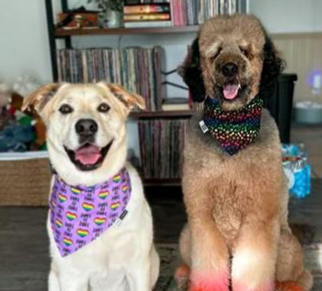 Lulu London Love is Love Custom Reversible Dog Bandana