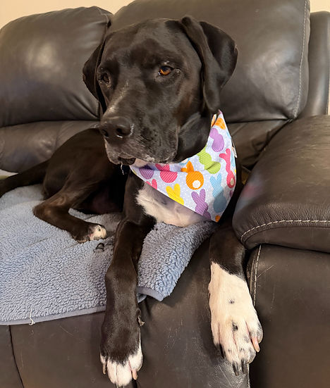 Lulu London All My Peeps Easter Reversible Bandana