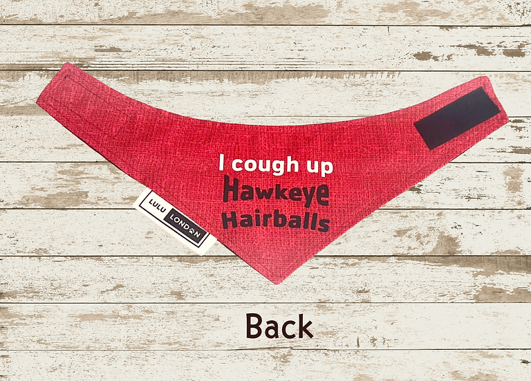 Lulu London Hawkeye Hairballs Custom Reversible Cat Bandana
