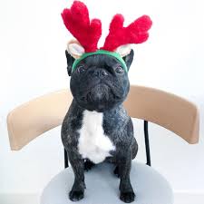 ZippyPaws Antlers Large