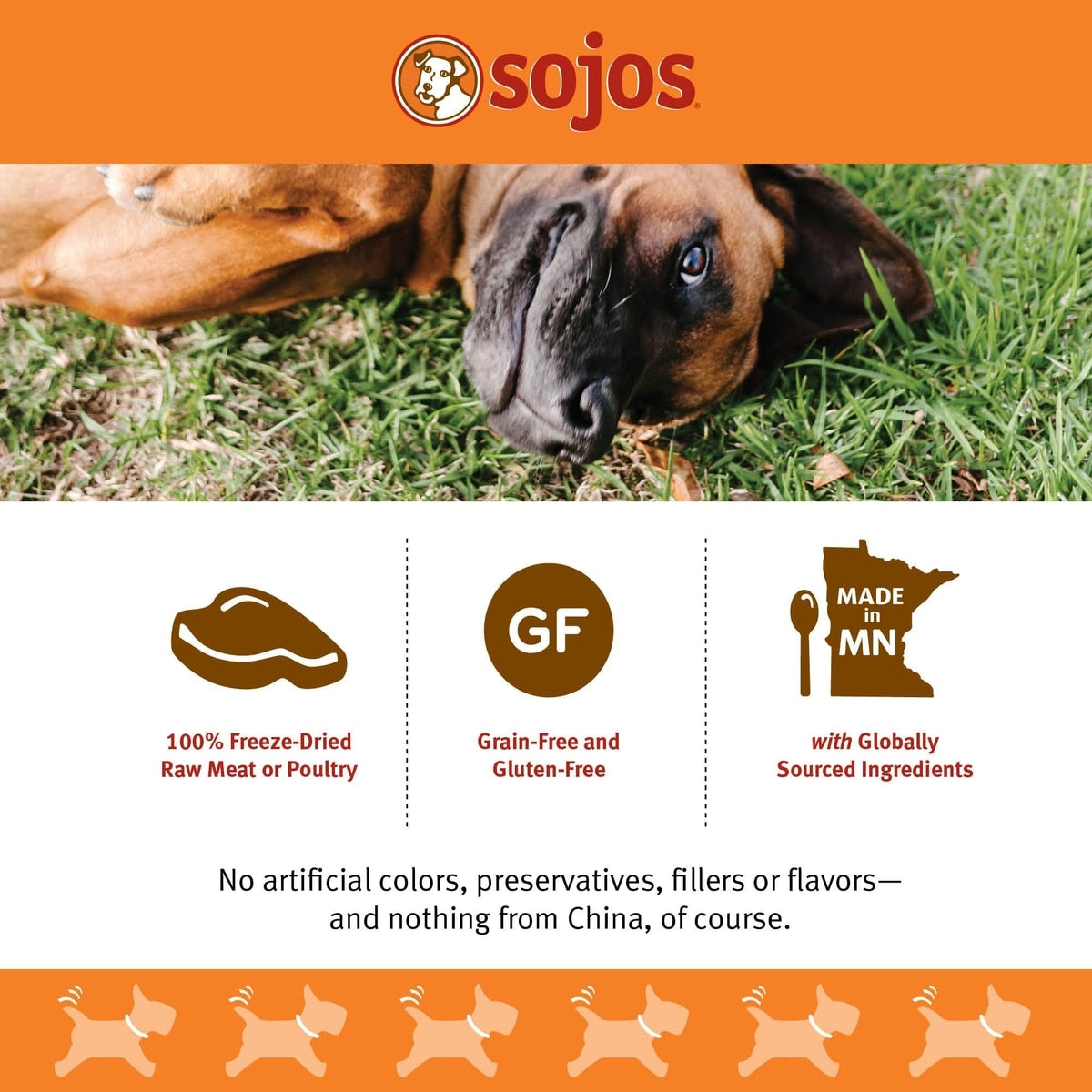 Sojos Simply Lamb Freeze-Dried Dog Treats