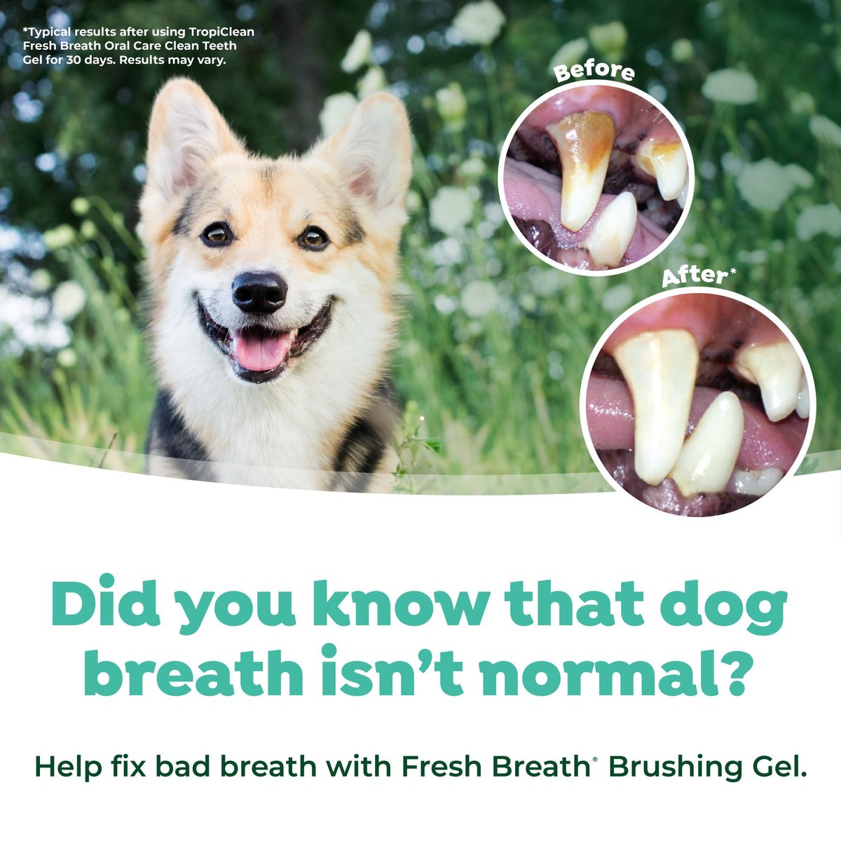 Fresh Breath Dog Oral Care Kit, Small/Medium Dog