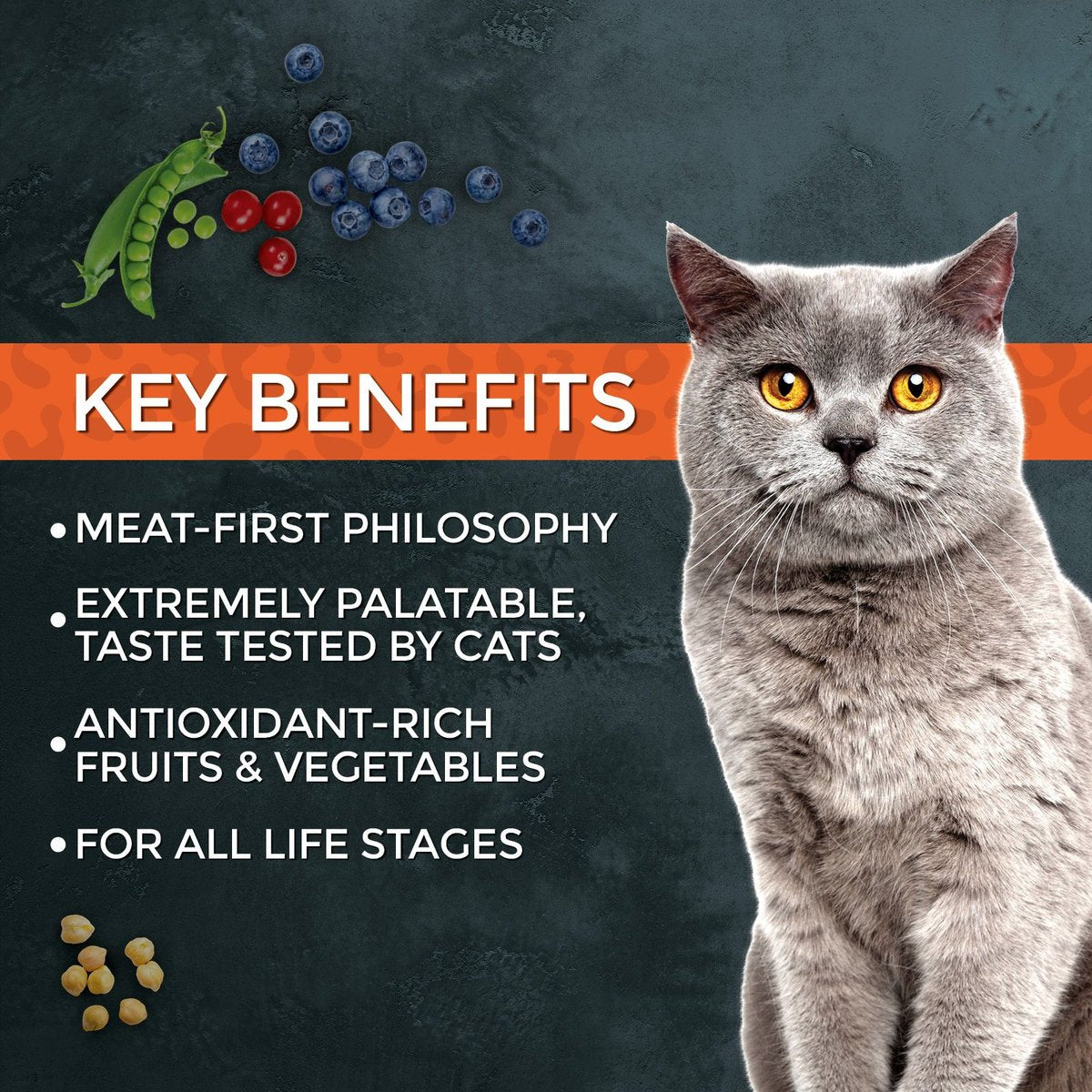 Fussie Cat Market Fresh Grain-Free Turkey Dry Food