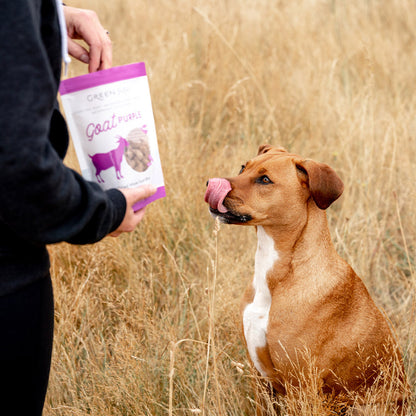 Green Juju Freeze Dried Goat Purple Whole Food Bites for Dogs and Cats