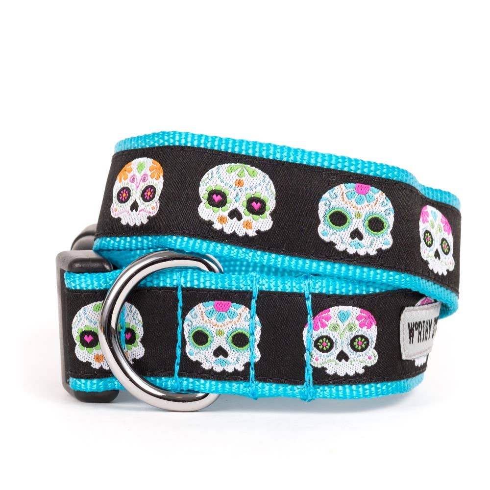 Worthy Dog - Skeletons Collar