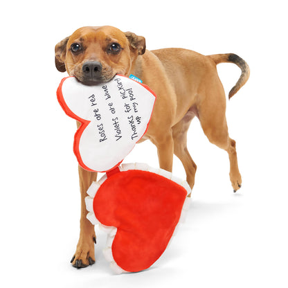BARK Valentine's Be Mine Growlentine Plush Dog Toy, M/L