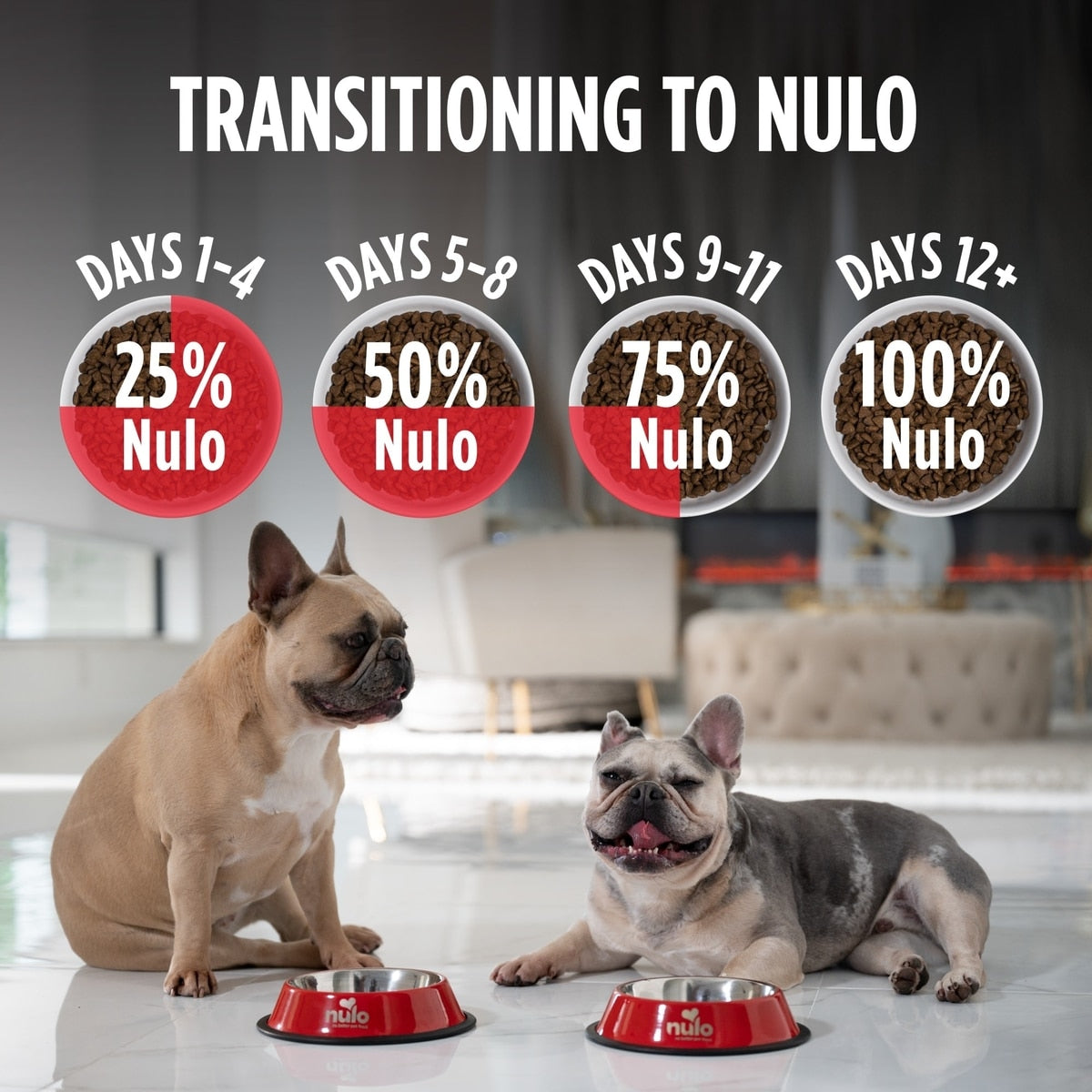 Nulo Frontrunner Ancient Grains Turkey, Trout & Spelt Recipe High-Protein Adult Dry Dog Food