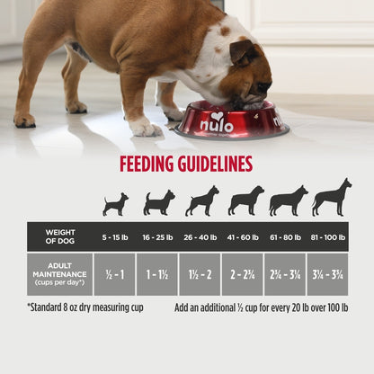 Nulo Frontrunner Ancient Grains Turkey, Trout & Spelt Recipe High-Protein Adult Dry Dog Food