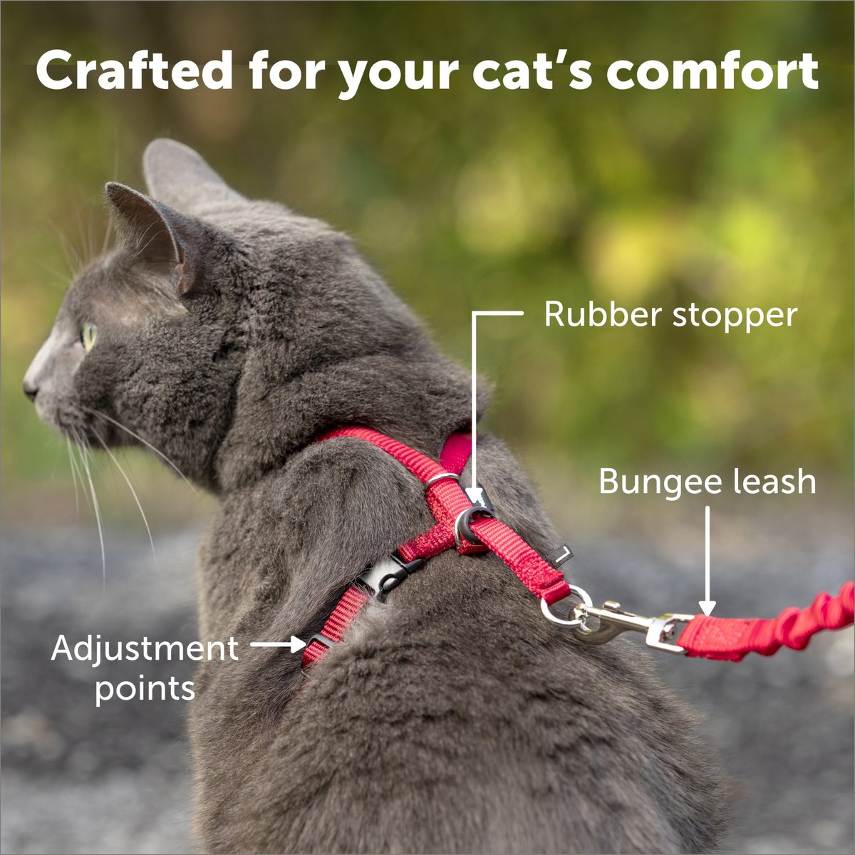 PetSafe Come With Me Kitty Harness and Bungee Cat Leash, Black