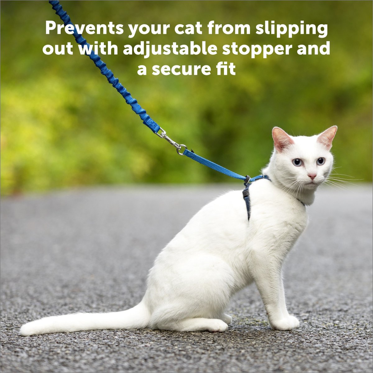 PetSafe Come With Me Kitty Harness and Bungee Cat Leash, Black