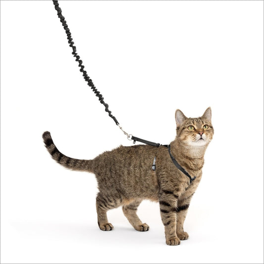 PetSafe Come With Me Kitty Harness and Bungee Cat Leash, Black