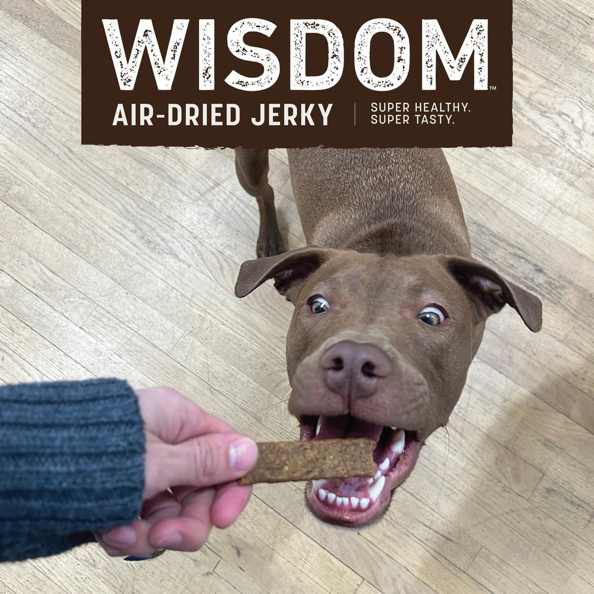 Earth Animal Wisdom Air-Dried From the Soil Recipe Premium Natural Insect-Based Jerky Strips Dog Treats