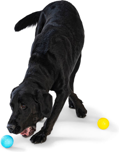 West Paw Boundr Ball 2-Pack Dog Toy Ball