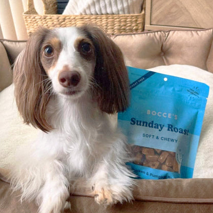 Bocce's Bakery Sunday Roast Chicken & Pumpkin Recipe Soft & Chewy Dog Treats, 6-oz bag