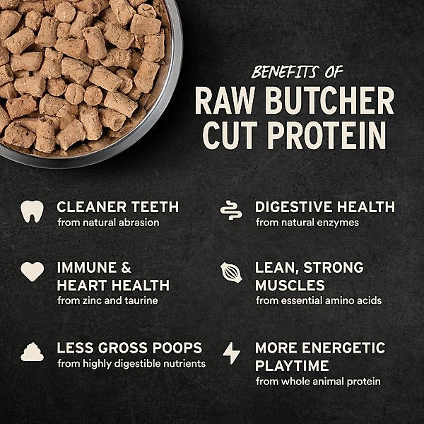 Vital Essentials Freeze-Dried Raw Beef Entree & Mixer Soft Nibs Dog Food