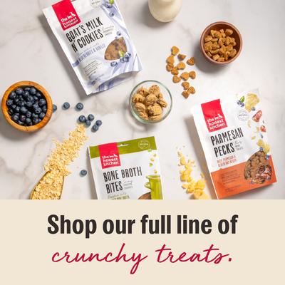 The Honest Kitchen Human Grade Goat's Milk N' Cookies Slow Baked with Blueberries & Vanilla Dog Treats, 8-oz bag