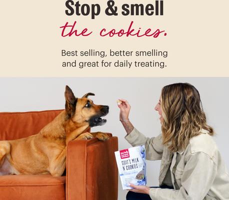 The Honest Kitchen Human Grade Goat's Milk N' Cookies Slow Baked with Blueberries & Vanilla Dog Treats, 8-oz bag