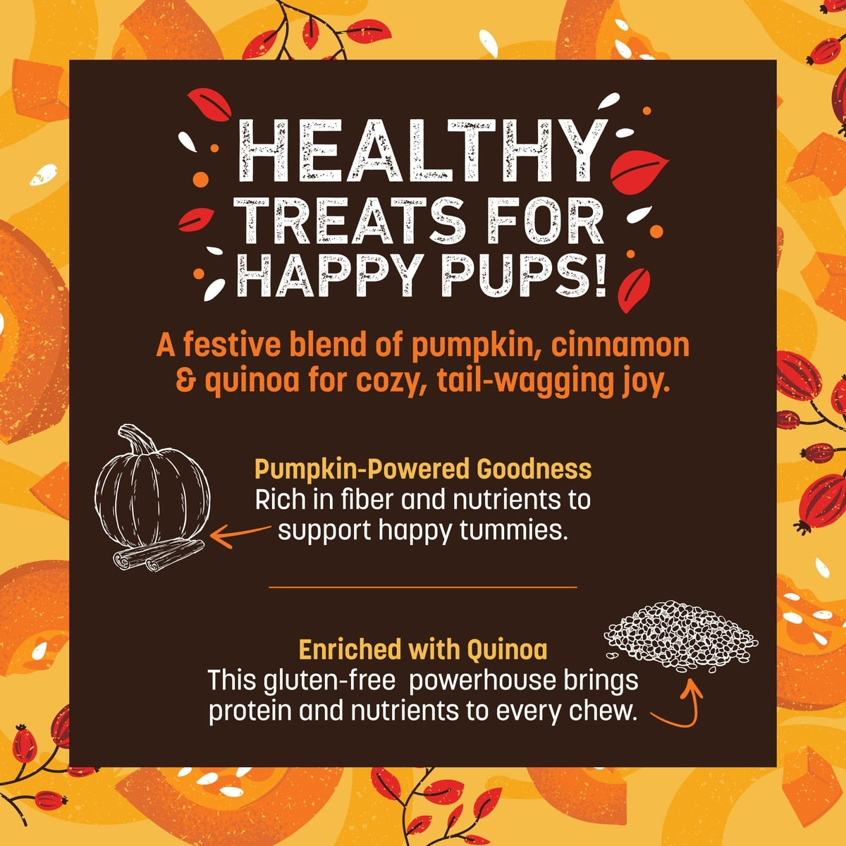Earth Animal Wisdom Seasonal Pumpkin Spice Recipe Air-Dried Jerky Strips Dog Treats