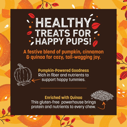 Earth Animal Wisdom Seasonal Pumpkin Spice Recipe Air-Dried Jerky Strips Dog Treats