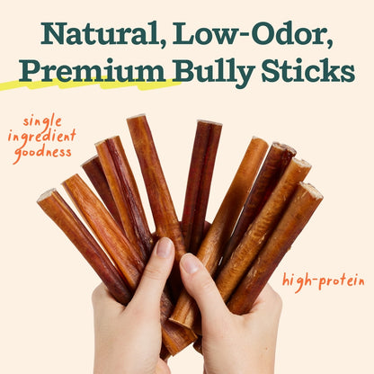 Woof BullySafe & 6-inch Bully Stick Dog Treats, 5 count