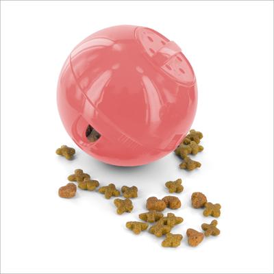 PetSafe SlimCat Interactive Cat Feeder