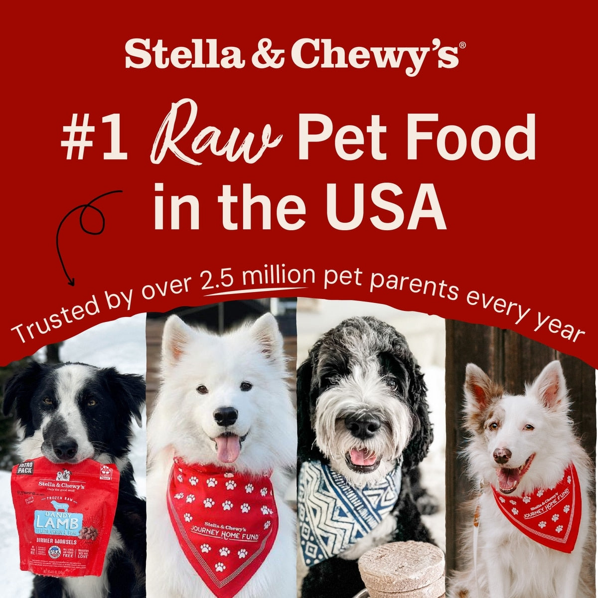 Stella & Chewy's Freeze-Dried Raw Meal Mixers Grain-Free Protein Rich Beef & Salmon Recipe Dog Food