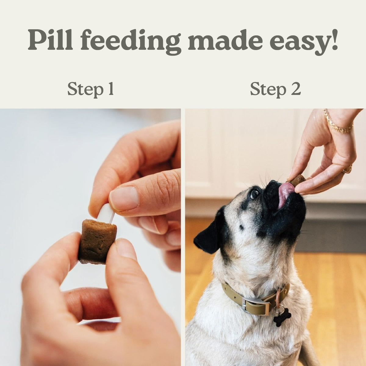 Earthly Pill Buddy Naturals Peanut Butter & Apple Soft & Chewy Dog Treats