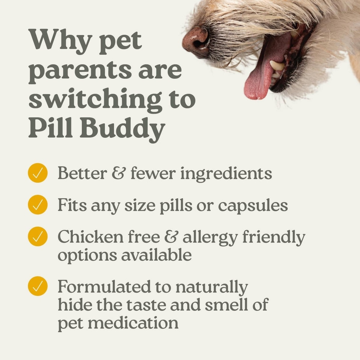 Earthly Pill Buddy Naturals Peanut Butter & Apple Soft & Chewy Dog Treats