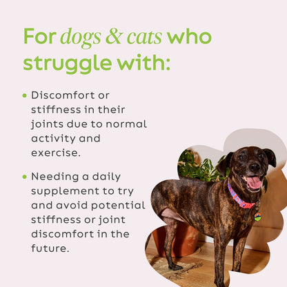 Super Snouts Joint Power Powder Joint Supplement for Dogs & Cats