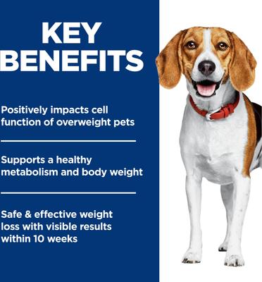 Hill's Science Diet Adult Perfect Weight Small Bites Dry Dog Food, Chicken Recipe