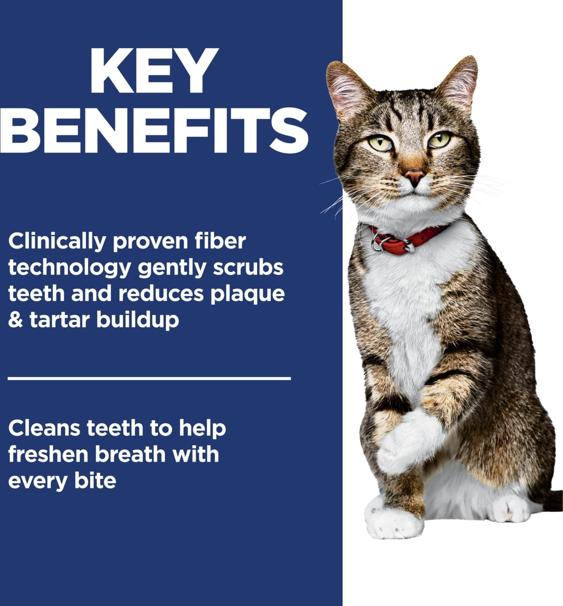 Hill's Science Diet Adult Oral Care Dry Cat Food, Chicken Recipe
