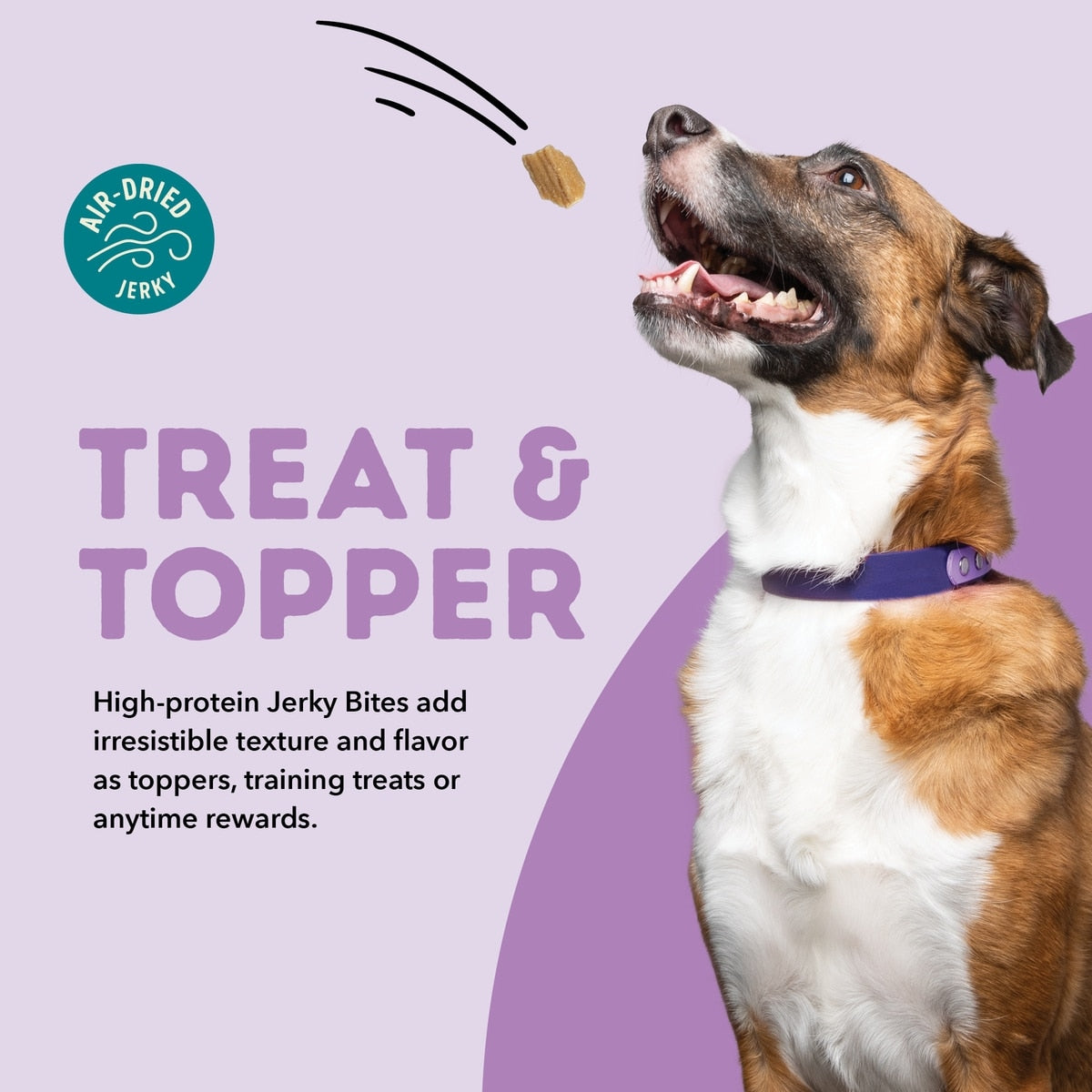 ACANA Jerky Bites Duck Flavor Grain-Free High-Protein Dog Treats