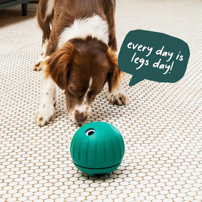 Woof Walkabout Dog Puzzle Toy & Slow-Feeder Kibble Dispenser
